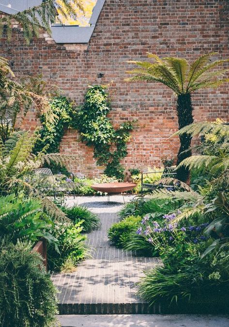 Tom Massey, Jungle Gardens, Small Patio Garden, Front Garden Design, Tiered Garden, California Garden, London Garden, Gravel Garden, Mediterranean Garden