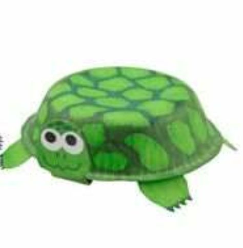 Esio Trot, Turtle Craft, Roald Dahl Day, Cute Tortoise, Paper Bowl, Turtle Crafts, Summer Crafts For Kids, Paper Bowls, Paper Plate Crafts