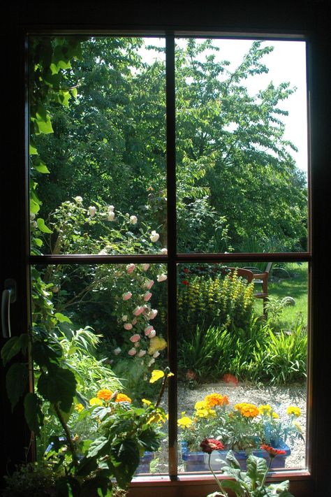 Create a breathtaking view from your window. Use a combination of landscaping elements such as trees, shrubs, and flowers to attract wildlife while providing a tranquil sanctuary for relaxation. Depending on the size of the space and the amount of sun exposure, you can create a custom design to fit your needs. Place a few planters with colourful, lush flowers around the area for a splash of life and texture. With careful consideration and mindful design, your garden can become a personal oasis. Fake Window, Garden Seating Area, Beautiful Windows, Garden Windows, Rooftop Garden, Garden Design Ideas, Window View, Through The Window, Garden View