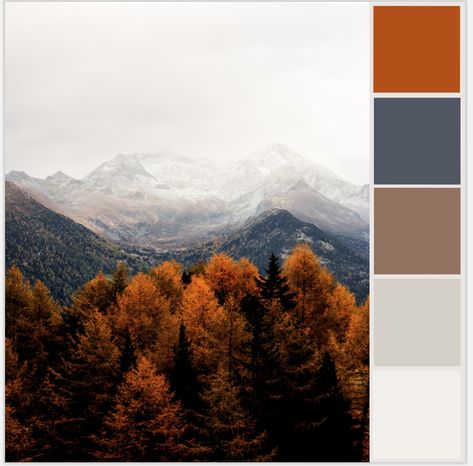 Blue Gray And Rust Bedroom, Orange Grey Blue Palette, Blue Grey Rust Color Scheme, Blue Orange Tan Color Palette, Navy Fall Color Palette, Blue Orange Grey Color Palette, Modern Mountain Color Palette, Mountain Color Pallete, Ski Chalet Color Palette