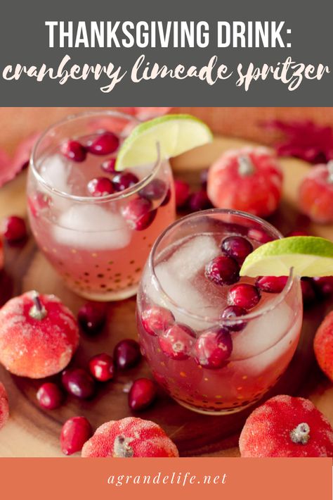 This Cranberry Limeade Spritzer is the perfect festive drink for any holiday party! Thanksgiving Cranberry Recipes, Cranberry Limeade, Ginger Ale Drinks, Thanksgiving Cranberry, Festive Drinks, Cranberry Recipes, Mouthwatering Recipes, Thanksgiving Appetizers, Family Ideas