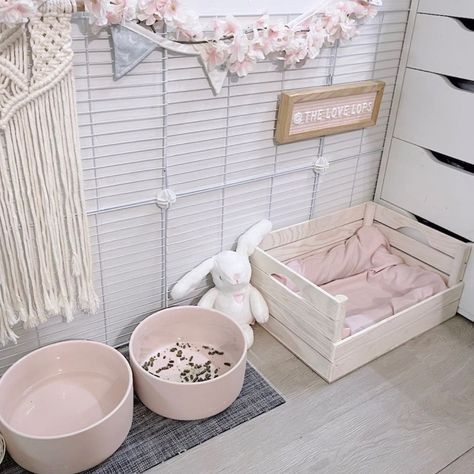 Cute Bunny Setup Ideas, Room For Rabbit, Bedroom With Bunny Cage, Aesthetic Bunny Setup, Bunny Setup In Bedroom, Bunny Room Ideas Bedrooms, Freeroam Bunny Setup, Pet Rooms Ideas, Bunny Cage Aesthetic