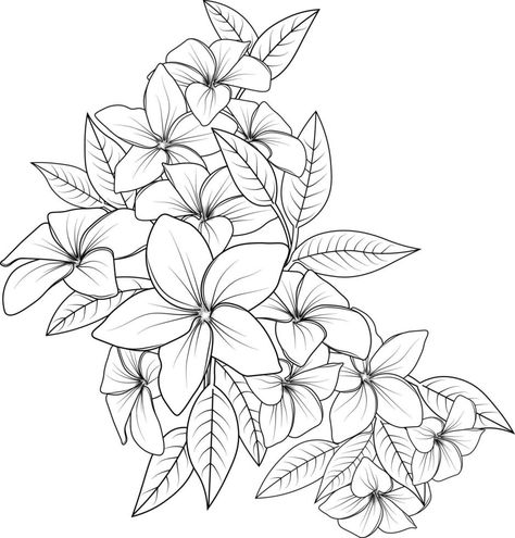 Set of a decorative stylized frangipani flower,  isolated on white background. Highly detailed vector illustration, doodling and zentangle style, blossom plumeria flowers, and tattoo design. Plumeria Stencil, Plumeria Tattoo Designs, Frangipani Drawing, Plumeria Flower Tattoos, Frangipani Tattoo, Sharpie Shoes, Flower Tattoo Stencils, Plumeria Tattoo, Vector Cityscape