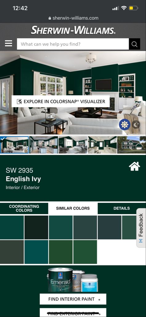 English Ivy Paint Color, Hunter Green Wall Paint, English Green Colour, English Ivy Sherwin Williams, Sherwin Williams English Ivy, Emerald Front Door, Sherwin Williams Emerald Green, Emerald Green Paint Sherwin Williams, Best Emerald Green Paint Colors