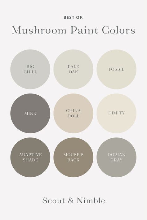 Big Chill | Pale Oak | Fossil | Mink | China Doll | Dimity | Adaptive Shade | Mouse’s Back | Dorian Gray Best Blue Paint Colors, Gray Paint Colors, Black Paint Color, Mushroom Paint, Best White Paint, Charming Kitchen, Best Paint, Gray Paint, Blue Paint Colors