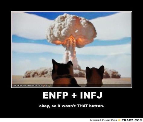 ENFP +INFJ :) Fun people to be with Enfp Infj, Enfp And Infj, Enfp Personality, Intj And Infj, Infj Mbti, Enfp T, Infj Personality Type, Myers Briggs Personality Types, Infj T