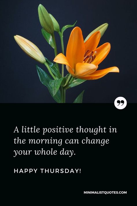 A little positive thought in the morning can change your whole day. Happy Thursday! Thursday Positive Quotes, Happy Thursday Morning, Thoughtful Thursday, Make Today Count, Happy Thursday Quotes, Happy Thursday Everyone, Good Morning Thursday, Thursday Quotes, Positive Thought