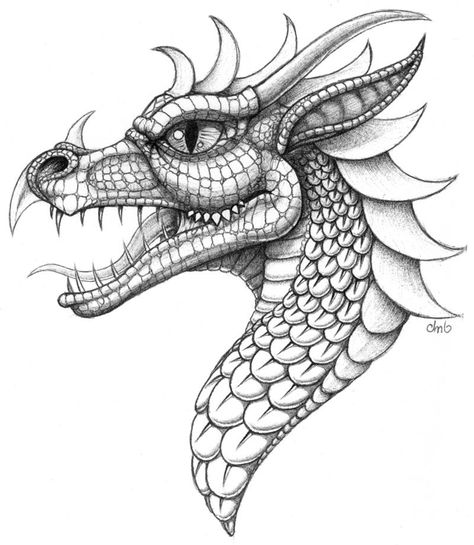 Dragon Coloring Page, Dragon Sketch, Adult Colouring Pages, Wood Burning Patterns, Coloring Tutorial, Dragon Artwork, Dragon Head, Dragon Drawing, A Dragon