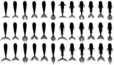 Mermaid tail types Mermaid Tops Drawing, Fish Tail Reference, How To Draw A Mermaid Tail, Tails References, How To Draw Mermaids, Siren Tail Drawing, Mermaid Tail Reference, Fish Tail Drawing, Drawing Mermaid Sketches