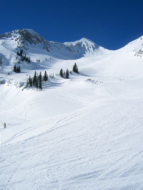 Mineral Basin. Snowbird, Utah Snowbird Utah, Ski Utah, Ski Culture, Utah Skiing, Digital Vision Board, Painting Ideas, Utah, Something To Do, Skiing