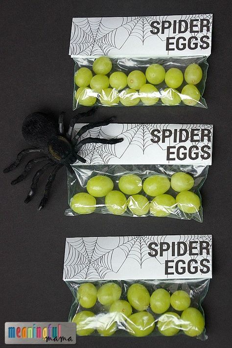 Halloween Classroom Treats, Spider Unit, Spider Eggs, Healthy Halloween Food, Kids Halloween Food, Halloween School Treats, Healthy Halloween Treats, School Halloween Party, Festa Harry Potter