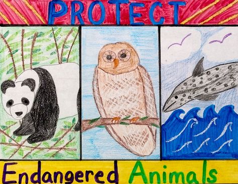 Erase It! Endangered Animals lesson plan - I think it would be cool to have each student choose an endangered species in our state and make a vivid display on various aspects of that animals story.  Also, check out the adaptations. Endangered Animals Lessons, Animals Lesson Plan, Endangered Animals Activities, Endangered Animals Project, Endangered Species Art, Animal Lessons, Animal Adaptations, Animal Activities, Extinct Animals