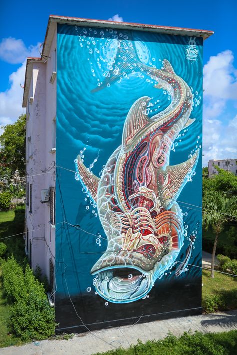 PangeaSeed’s Sea Walls Program Works to Save Earth’s Oceans One Mural at a Time | Colossal Nychos Graffiti, 3d Street Painting, Urbane Kunst, Genius Loci, 3d Street Art, Amazing Street Art, Colossal Art, Yucatan Mexico, Graffiti Murals