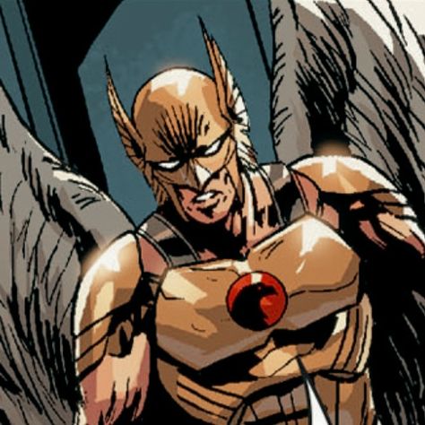 Hawk Man Dc, Dc Hawkman, Hawkman Dc, Winged Warrior, Hero Character, Rick And, Justice Society, Comic Ideas, Justice Society Of America