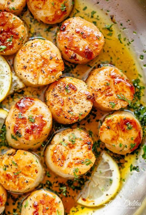 You searched for Scallops - Cafe Delites Garlic Butter Scallops Recipe, Garlic Butter Scallops, Best Scallop Recipe, Scallop Recipes Healthy, Shrimp And Scallop Recipes, Scallop Appetizer, Easy Scallop Recipes, Butter Scallops, Seafood Dish Recipes