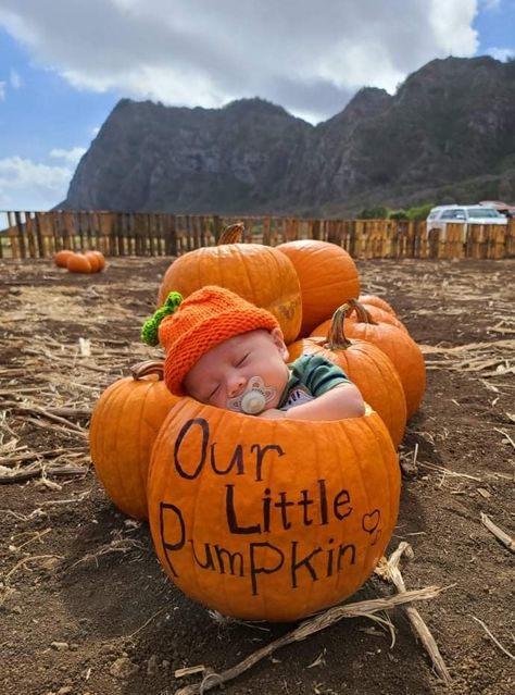 2 Month Pumpkin Pictures, Baby In Pumpkin Ideas, 1 Month Old Halloween Pictures, Baby Pumpkin Pictures Newborn, Newborn October Pictures, Infant Pumpkin Patch Pictures, Newborn Pumpkin Patch Pictures, Baby In A Pumpkin Photo Ideas, Newborn Halloween Pictures