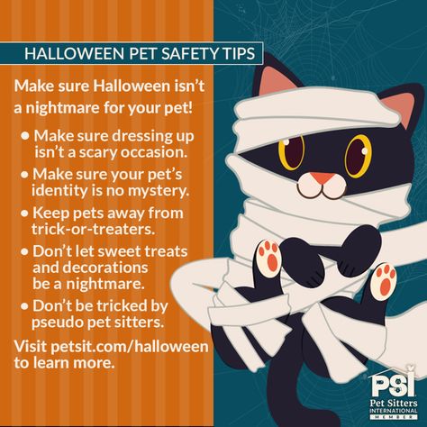 Halloween Pet Safety Tips Halloween Pet Safety, Halloween Safety, Pet Services, Spooky Night, Pet Halloween Costumes, Vet Tech, Halloween Animals, Pet Sitters, Pet Safety