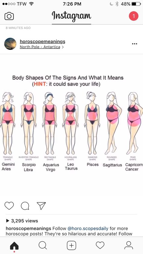 Gemini And Scorpio, Virgo And Taurus, Aries And Libra, Pisces And Sagittarius, Sagittarius And Capricorn, Body Shape, Body Shapes, Body Care, Funny Quotes