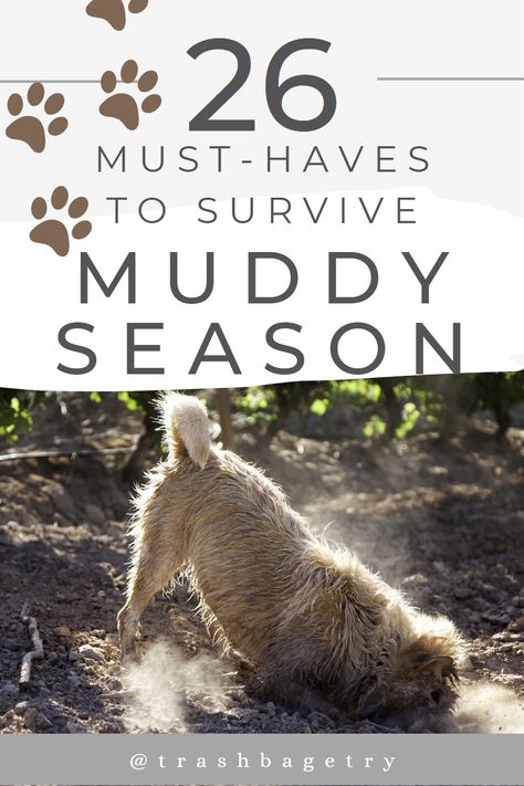 Surviving muddy season with your dogs. #dogs #muddyseason #muddydog Muddy Dog Paw Solutions, Muddy Yard Solutions Dogs, Muddy Backyard Solution Dogs, Dog Friendly Backyard, Dog Pens, Muddy Dog, Dog Yard, Dog Pen, Dog Cleaning