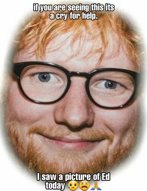 guys im gonna die. goodnight 🥰 Ugly Gingers, Bred Sheeran, Bread Sheeran, Ed Shiran, Ginger Guy, Ed Sheeran Memes, Ed Sheeran Facts, Ed Sheeran Love, Am I The Only One