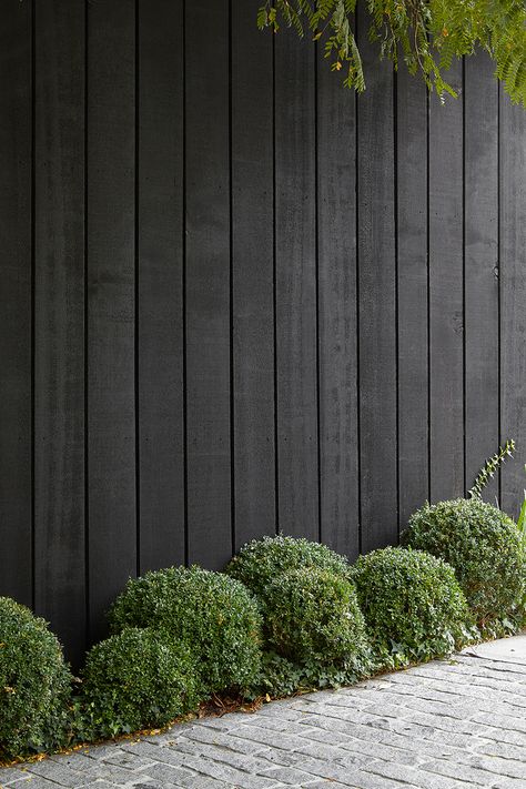 Simple Front Garden Ideas, Charcoal Fence, Black And White Fence, Black Fence Ideas, Black Fence Paint, Black Fences, Holistic Aesthetic, Front Fences, Fence Landscaping Ideas