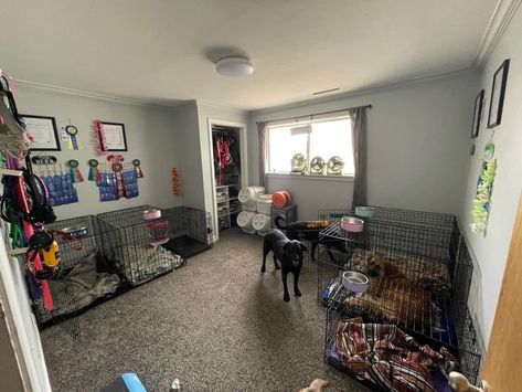 Dog Kennel Organization, Large Dog Kennel Ideas Indoor, Dog Training Room, Dog Kennel Room, Dog Room Ideas Bedrooms, Dog Room, Foster Care Bedroom, Dog Supplies Organization, Dog Room Design