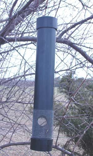 Bird Feeder Station, Squirrel Proof Bird Feeders, Homemade Bird Houses, Homemade Bird Feeders, Bird House Kits, Diy Bird Feeder, Mother Earth News, Diy Birds, Bird Seed