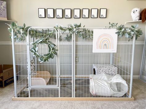 A white playpen for a bunny with lamb’s ear garland and wreath. Rainbow canvas photo. Cinnabun written in letter frames on the wall. Puppy Cage Set Up, Bunny Cage Decor, Bunny Set Up Indoor Diy, Bunny Habitat Indoor, Rabbit Set Up Indoor, Bunny Set Up Indoor Cute, Free Roam Bunny Set Up, Bunny Enclosure, Diy Bunny Cage