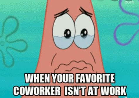 Coworker Best Friend Quotes, Co Worker Memes, Coworker Quotes, Fuuny Memes, Missing Work, Missing Quotes, Vacation Humor, Work Friends, Funny Work