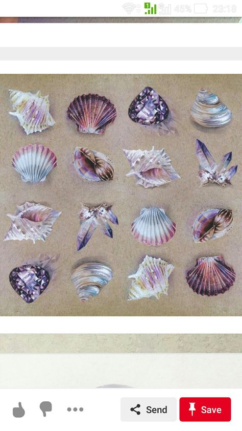 Seashell Drawing, Jewelry Illustration, Color Pencil Art, Realistic Drawings, Natural Forms, Gems Jewelry, Life Drawing, Colored Pencil, Pencil Art