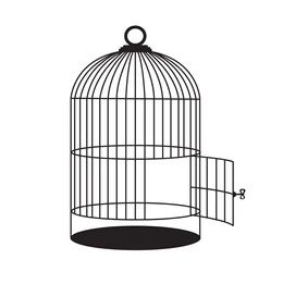 Birdcage Drawing, Birdcage Tattoo, Crow Tattoo Design, Cage Tattoos, Crow Tattoo, Gym Art, School Painting, Flash Design, Drawing Clipart