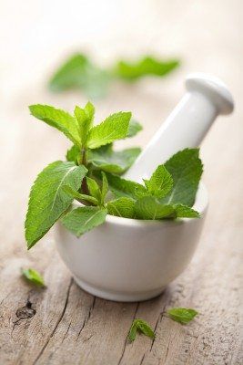 Digestive Herbs, Detox Herbs, Oregano Oil Benefits, Peppermint Plants, Mother Earth Living, Body Cleansing, Acne Treatments, Oregano Oil, Peppermint Tea