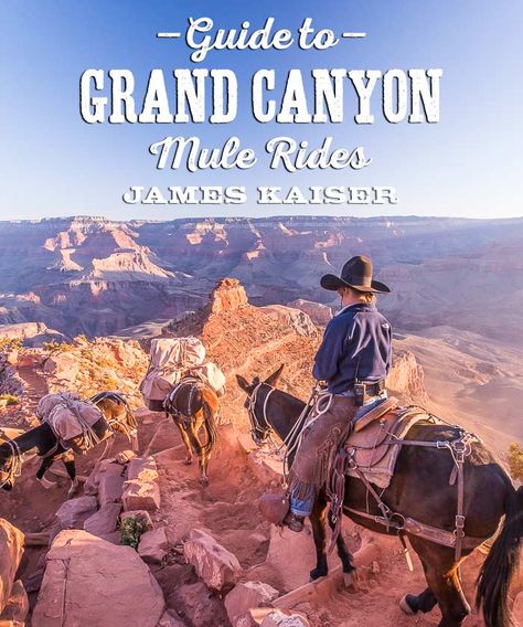 Guide to Grand Canyon Mule Rides Grand Canyon Bucket List, Grand Canyon Mule Ride, Grand Canyon Camping, Camping In Maine, Trip To Grand Canyon, Yellowstone Camping, Grand Canyon Arizona, Arizona Road Trip, Magical Land