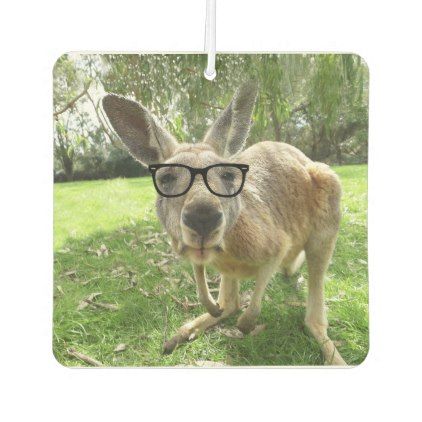 Funny Australian Kangaroo with Glasses Animal Air Freshener - animal gift ideas animals and pets diy customize Funny Australian, Animal Humor, Pets Diy, Diy Funny, Car Air Fresheners, Glass Artwork, Fun Gifts, Humor Funny, Diy Stuffed Animals