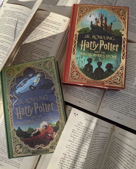 Harry Potter Minalima, Minalima Harry Potter, Hermione Granger Aesthetic, Harry Potter Items, Book Bucket, Harry Potter Ravenclaw, Harry Potter Decor, Disney Books, Harry Potter Anime