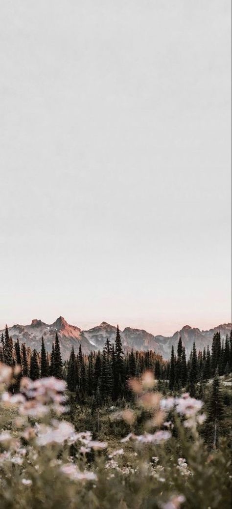 Iphone Wallpaper Mountains, Colorado Aesthetic, Country Backgrounds, Mountain Aesthetic, Portable Hammock, Western Wallpaper Iphone, Camping Hammock, Double Hammock, Travel Sports