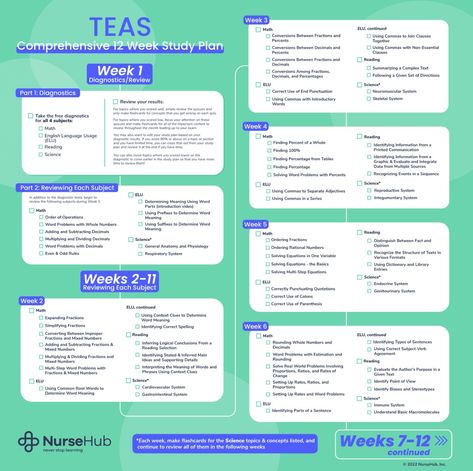 TEAS 7 Study Plan | NurseHub Teas 7 Exam, Teas 7, Study Schedule, Study Plan, Study Guide, Nursing, Tea, How To Plan