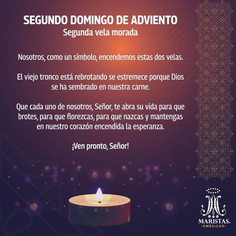 Que cada uno de nosotros, Señor, te abra su vida para que brotes, para que florezcas, para que nazcas y mantengas en nuestro corazón encendida la esperanza. ¡Ven pronto, Señor! Segundo Domingo de Adviento #SomosMaristas #DondeEstésContigoSiempre #FamiliaMarista #potosinoprimaria #potosinomarista #Adviento2021