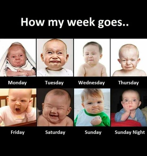 How my week goes... quotes quote days friday monday week sunday wednesday thursday saturday tuesday Baby Jokes, Exam Quotes Funny, Funny Baby Quotes, Funny Attitude Quotes, Funny Texts Jokes, School Quotes Funny, Funny School Jokes, Funny Mom Quotes, Funny Quotes Sarcasm