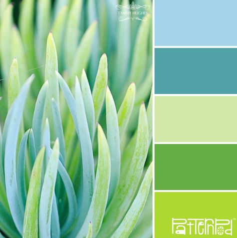 Aloe #patternpod #patternpodcolor #color #colorpalettes Design Seeds, Color Palate, Agaves, Color Palette Design, Cactus Y Suculentas, Color Balance, Colour Board, Spring Green, Colour Schemes