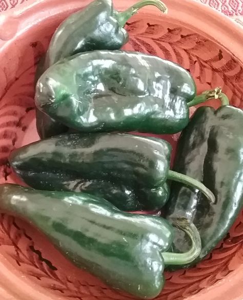 Roasting, toasting, peeling and eating chile poblano Chile Poblano, Mexican Spanish, Chile Relleno, Tex Mex, Mexican Food, Keep Up, Mexican Food Recipes, Cucumber, Succulent