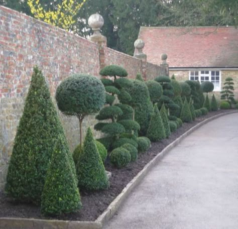 Isn't this the most amazing Topiary border? Created with cones, balls and cloud trees. We love it. Topiary Garden, Topiary Trees, Garden Shrubs, The Secret Garden, Gorgeous Gardens, Garden Cottage, Front Garden, Outdoor Plants, Garden Paths