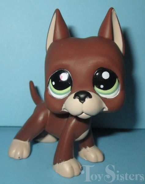 Lps Great Dane, Lps Dog, Lps Accessories, German Dogs, Lps Popular, Custom Lps, Lps Toys, Lps Pets, Lps Littlest Pet Shop