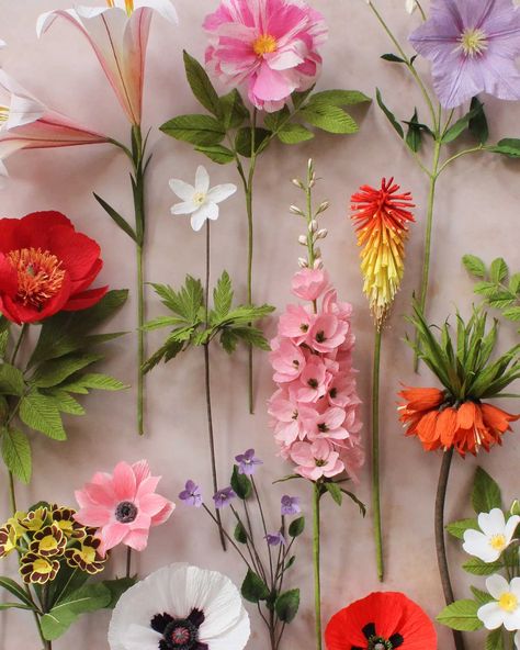 The Q&A: Susan Beech, paper flowers as fine art Paper Flower Projects, Flower Projects, Fleurs Diy, Flower Artists, Paper Peonies, Botanical Artwork, How To Make Paper Flowers, Crepe Paper Flowers, Paper Flower Tutorial