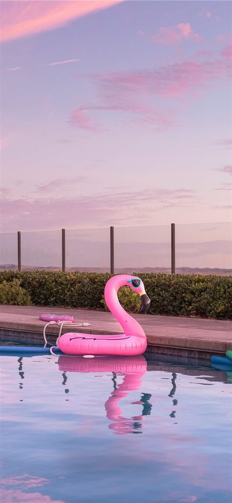 Tomorrow is Saturday. Inflatables. #iLikeWallpaper #Wallpaper #iPhoneXWallpaper #water #pool #Swimming Pool #inflatable #bird #animal #sky #clouds Pool Games To Play, Latham Pool, Pool Heat Pump, Pool Picture, Pool Games, Friday Favorites, Party Pictures, Summer Pool, Pool Toys