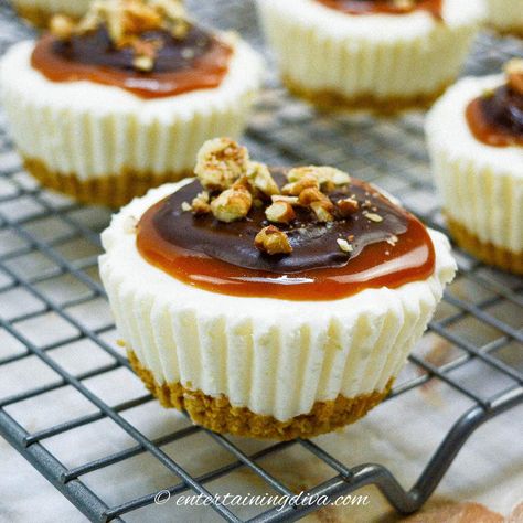 These turtle mini cheesecakes are rich and creamy, and topped with caramel, chocolate, and pecans for a delightful treat. And there's no baking required! Mini Turtle Cheesecake, No Bake Turtle Cheesecake, Turtle Cheesecake Recipe, Mini Cheesecakes Recipe, Mini No Bake Cheesecake, Turtle Cheesecake Recipes, Mini Turtle, Mini Pecan Pies, Turtle Cheesecake