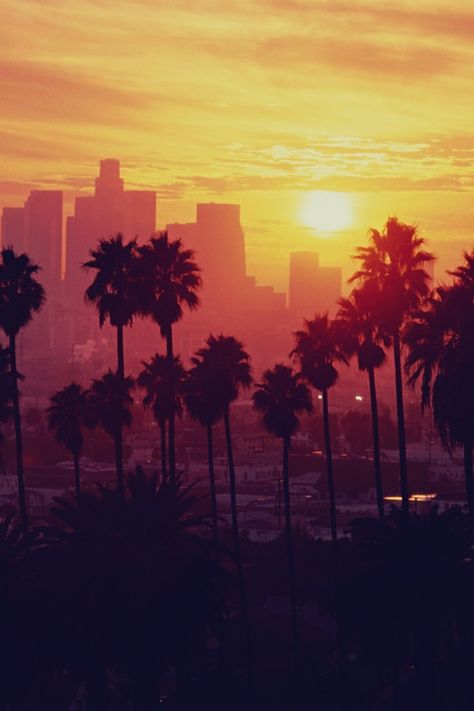 Los Angeles, California. Los Angeles Sunset, Los Angeles Wallpaper, New Retro Wave, City Of Angels, California Love, California Dreamin', California Dreaming, City Skyline, Santa Monica