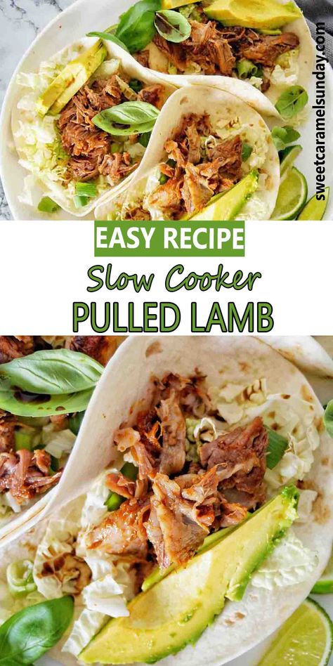 Pulled lamb meat in soft shelled tacos on white plate with avocado and lime wedges. Lamb Recipes Crockpot, Lamb Tacos Recipes, Crockpot Lamb, Pulled Lamb, Lamb Roast Recipe, Lamb Stew Recipes, Slow Cooker Lamb, Veal Recipes, Slow Cooker Stew