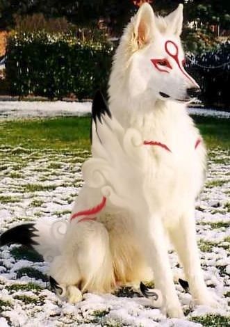 Even Dogs Can Cosplay Mystical Animals, 9gag Funny, Epic Cosplay, Cute Fantasy Creatures, Mythical Creatures Art, Amazing Cosplay, Dog Costumes, Halloween 2020, Grumpy Cat