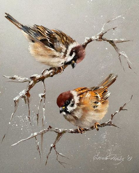 Pin by Sabina Tasheva on ♔ ART: Pastel | Soft pastel art, Birds painting, Bird paintings on canvas Bird Paintings On Canvas, Soft Pastel Art, Bird Watercolor Paintings, Spring Birds, Shared Folder, Bird Artwork, 수채화 그림, Nature Art Painting, Amazing Art Painting